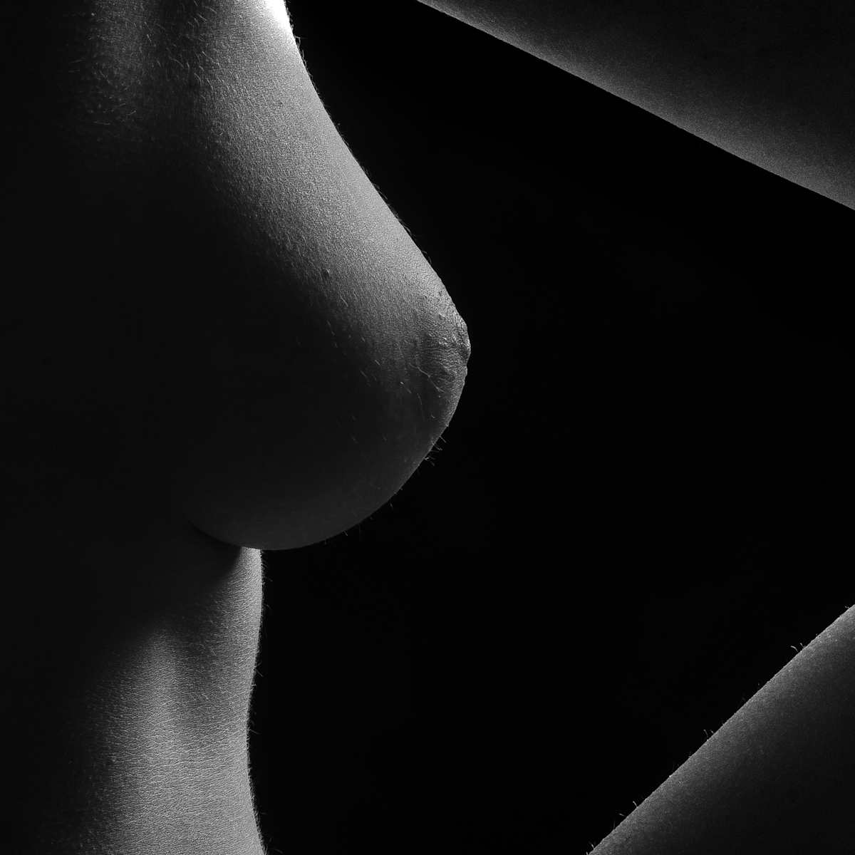 Lark 1:146 by Rodney Margison 