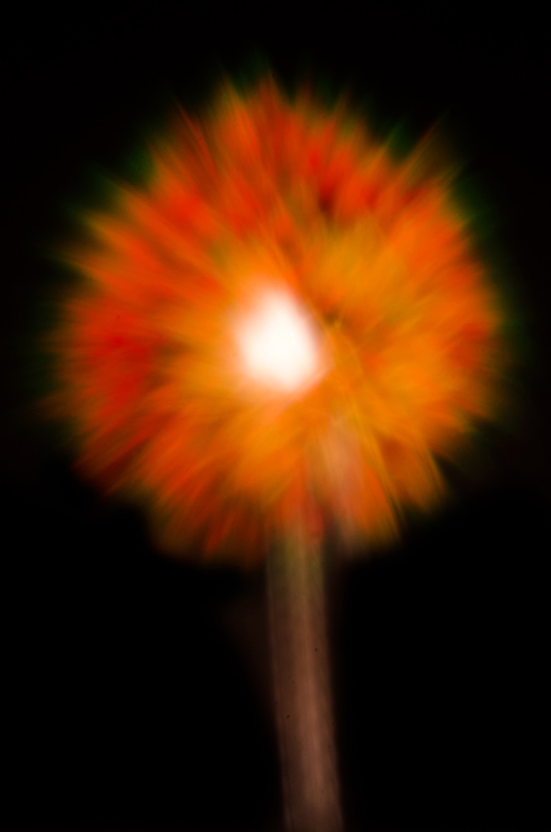 Fireburst by Rodney Margison 