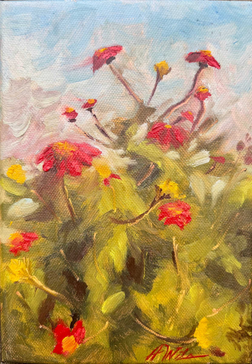 Summer’s Mexican Sunflowers by Amanda Wilson  Image: Richland Farmers Market summer 2024