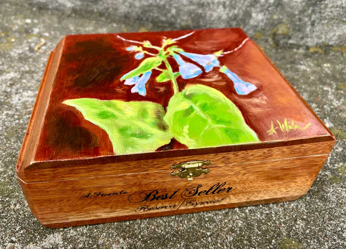 Backyard Virginia Bluebells by Amanda Wilson  Image: Cigar box