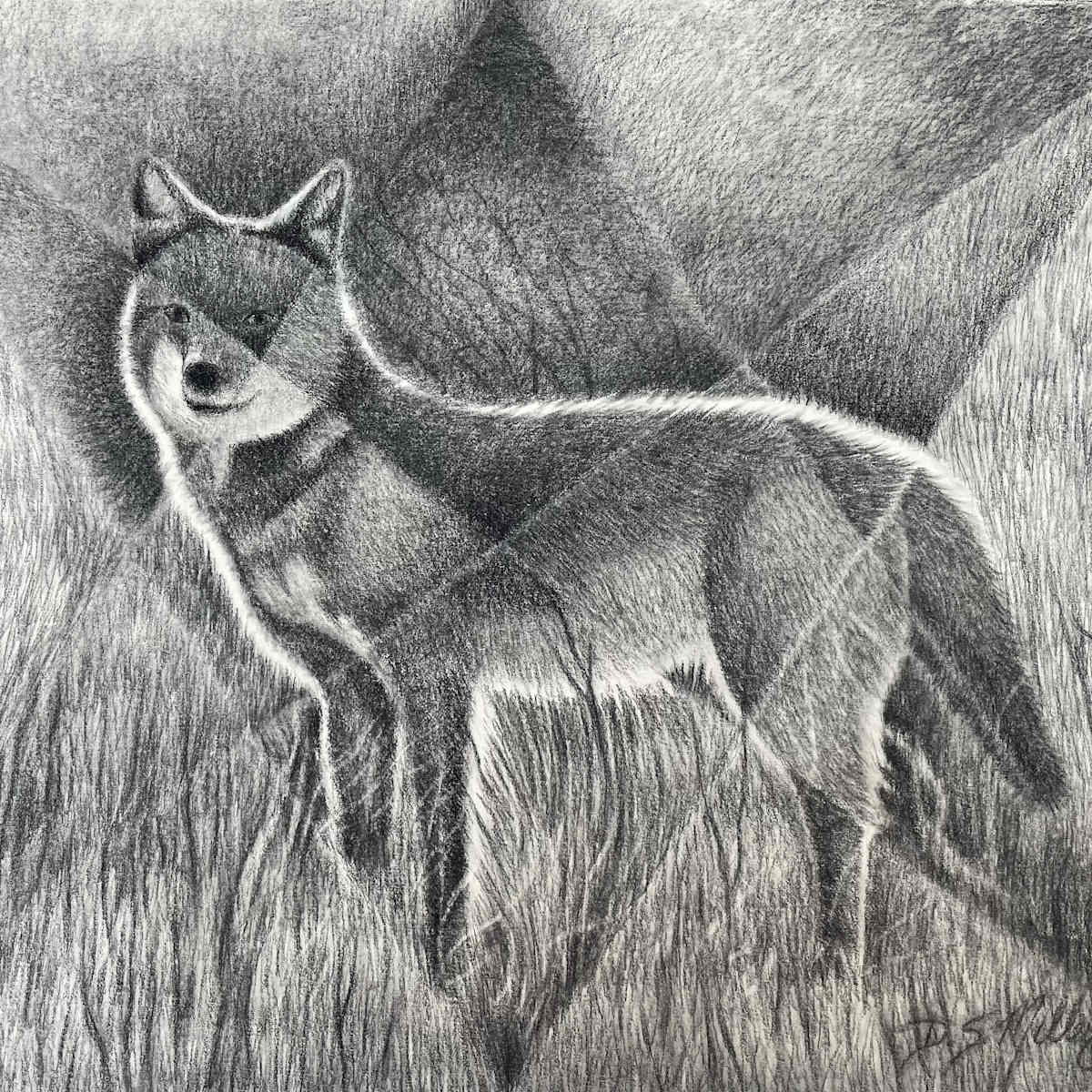 Prairie Wolf by Dustin Miller 