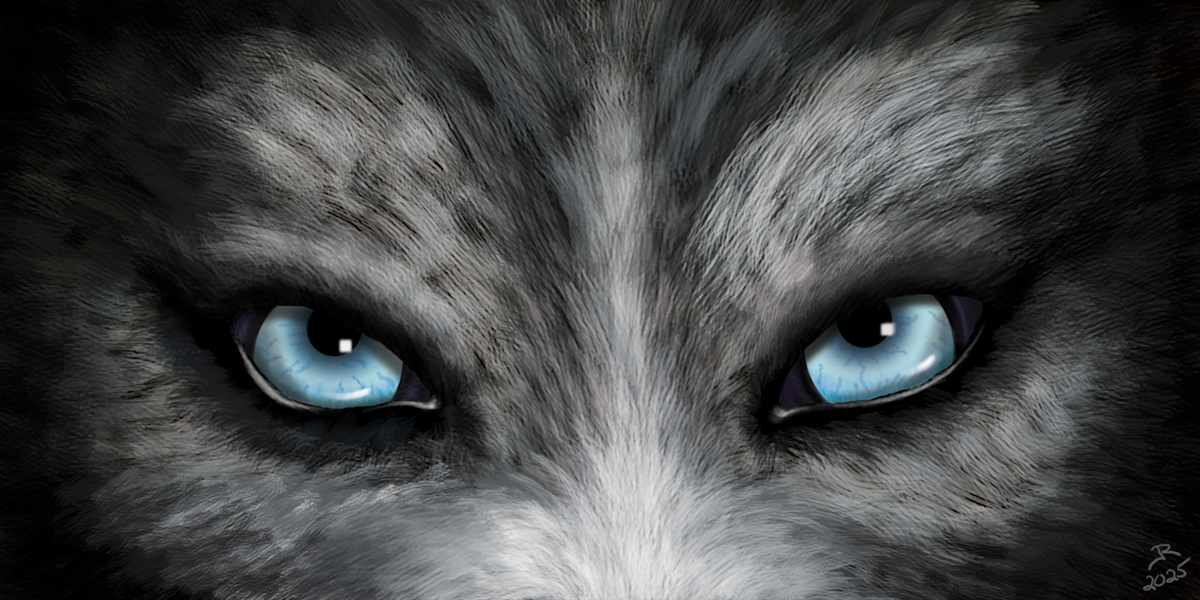 Blue Eyes by Jeanine Reagan  Image: Blue Eyes