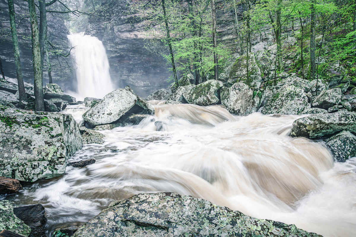 Cedar Falls After the Storm by Sony Hocklander 