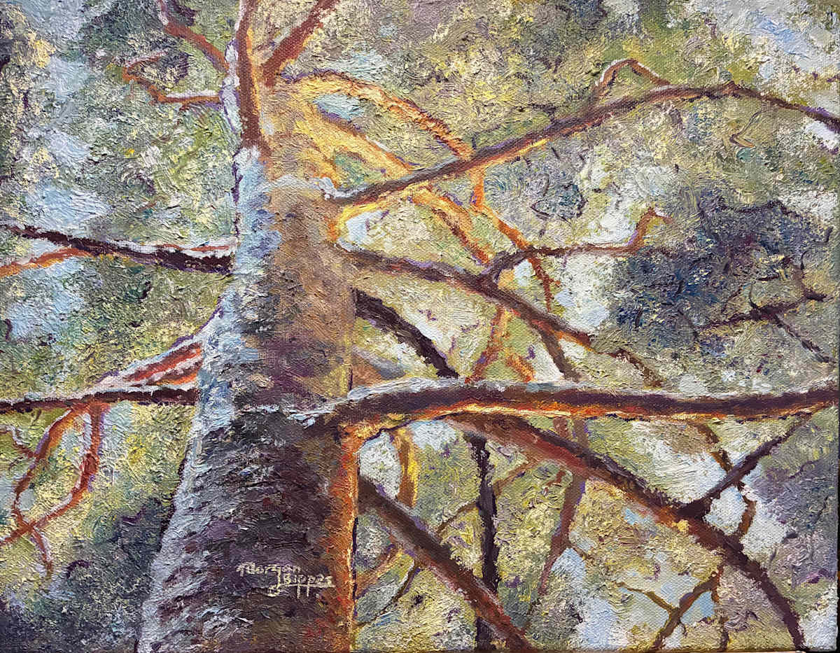 Tree by Morgan Bippes, Image 1.