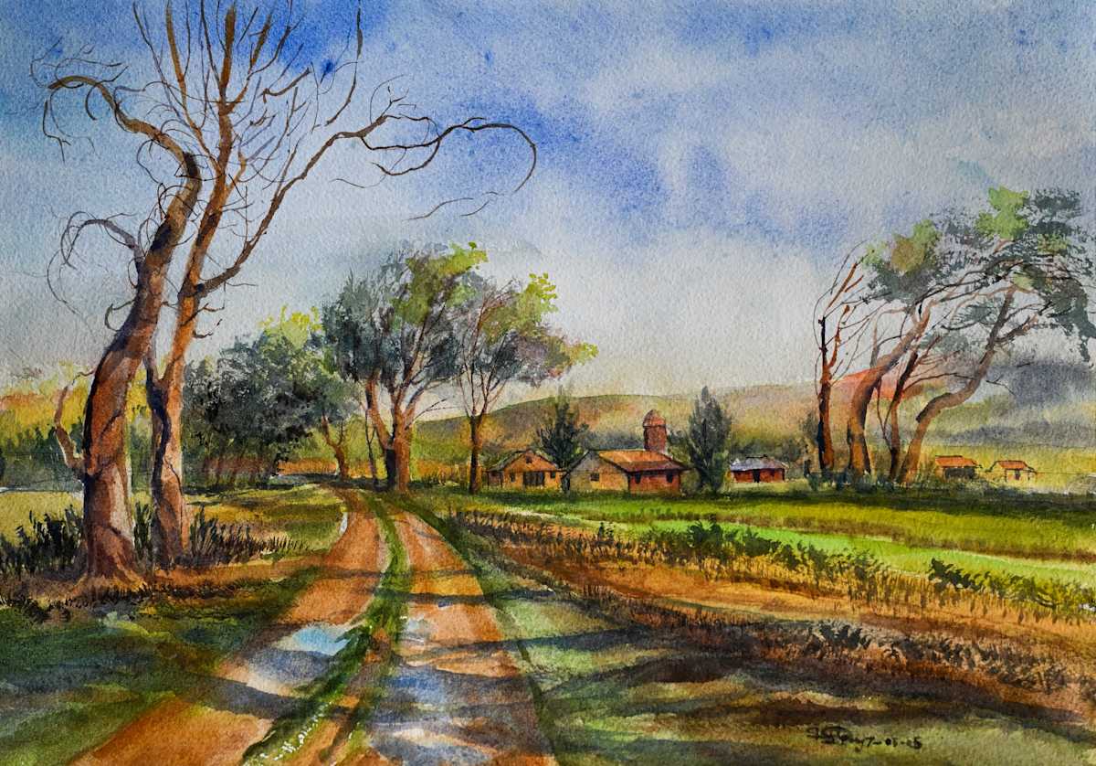 Golden Light by Shuchita Saparya, Image 1.