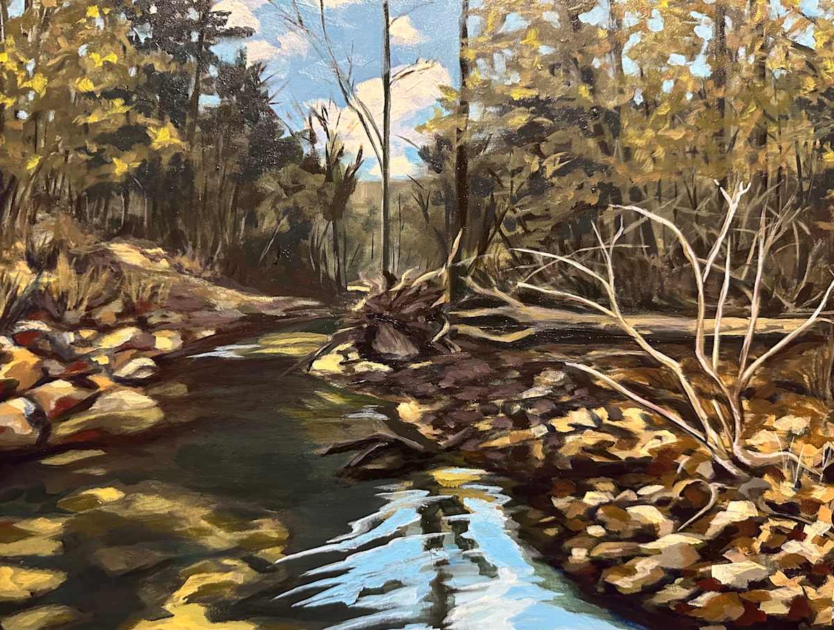 Mill Creek Trickle by Dana Neuenschwander 