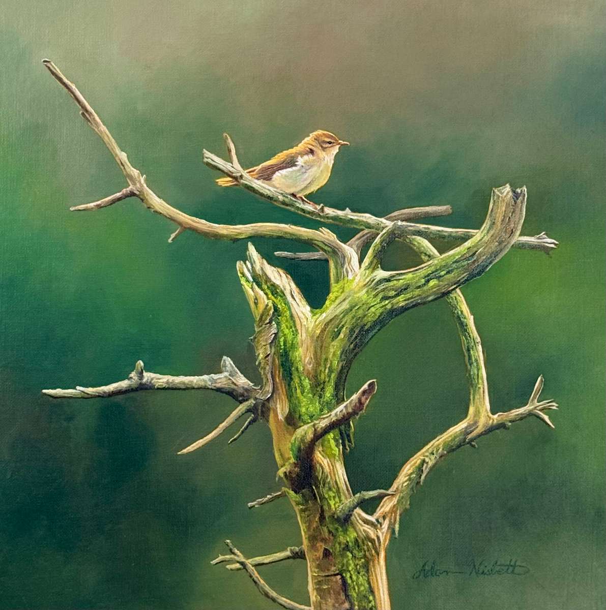 The Mossy Throne by Adam Nisbett 