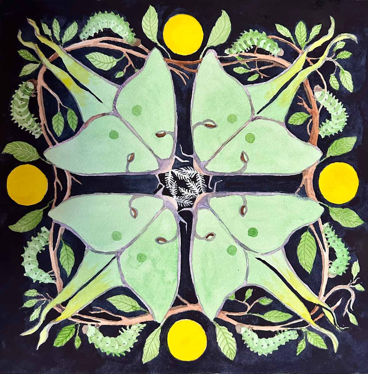 Luna Moths by Patricia A Kilson 