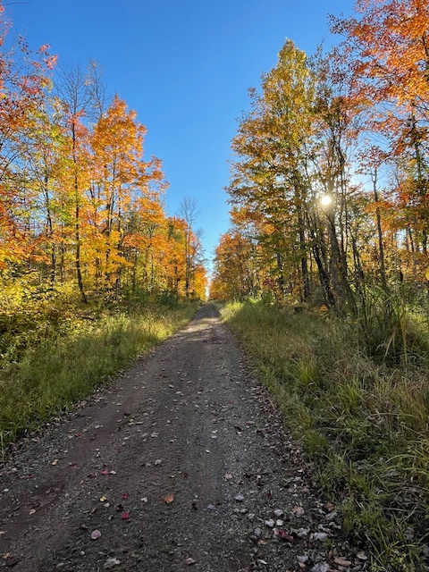 Autumn Trail by Jim Korich 
