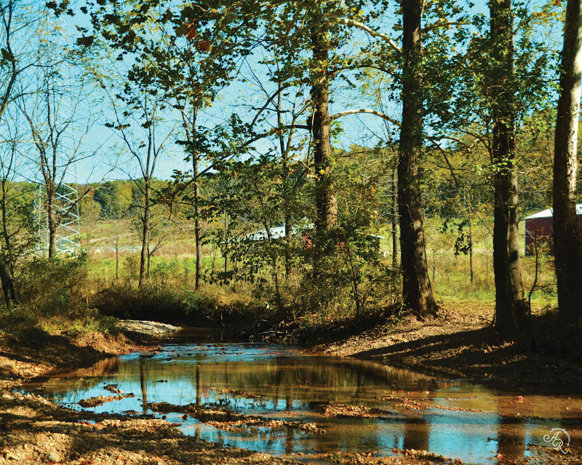 Rustic Ozarks by Abigail Ross 