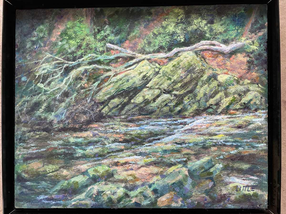 Spring Creek by Robert Little 