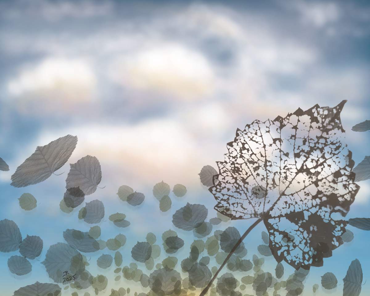 Sunrise Light by Jeanine Reagan  Image: Sunrise Light