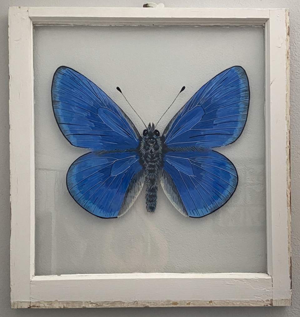 Xerces by Julie Catlett 