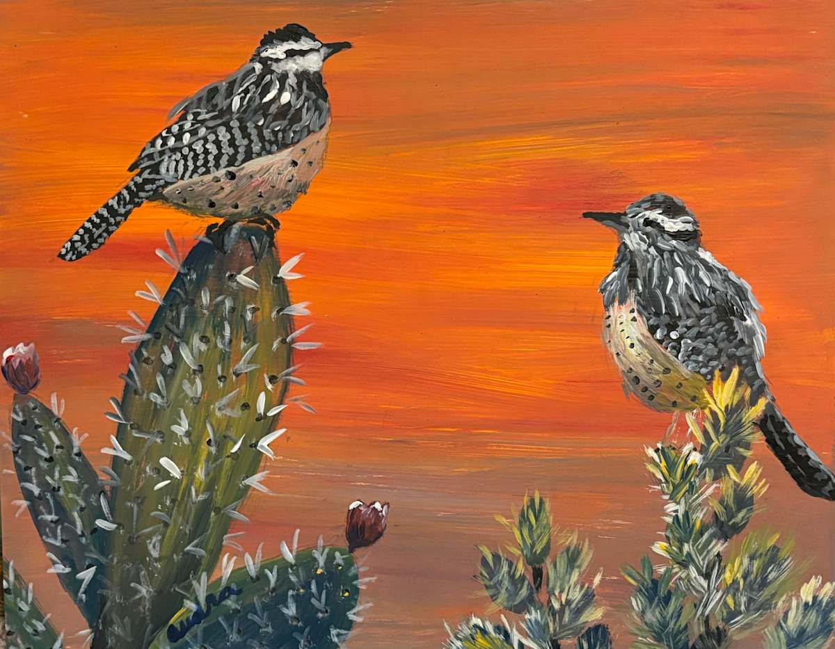 Cactus Wrens by Audra Koch 