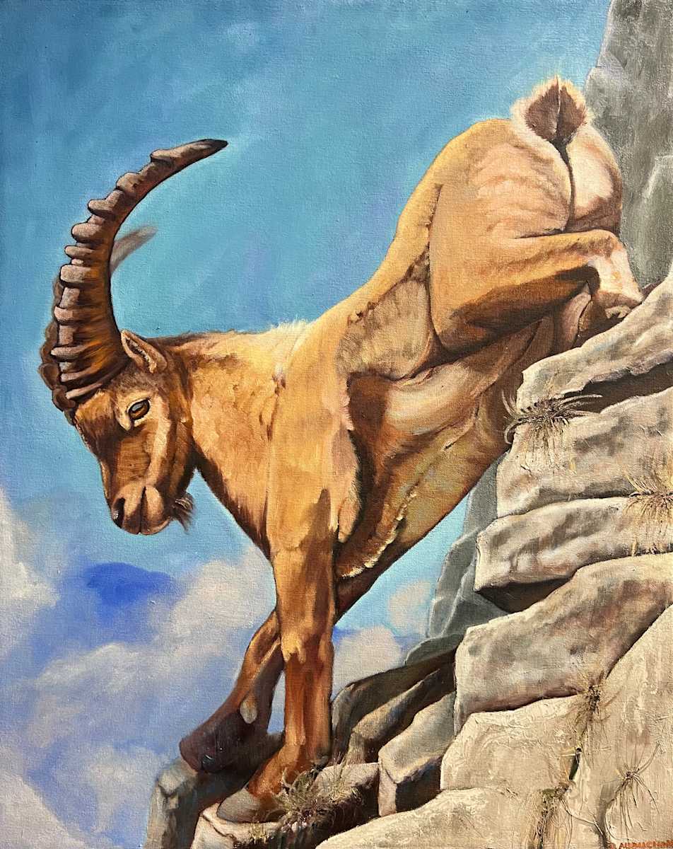 Free Solo by Danielle Aubuchon 