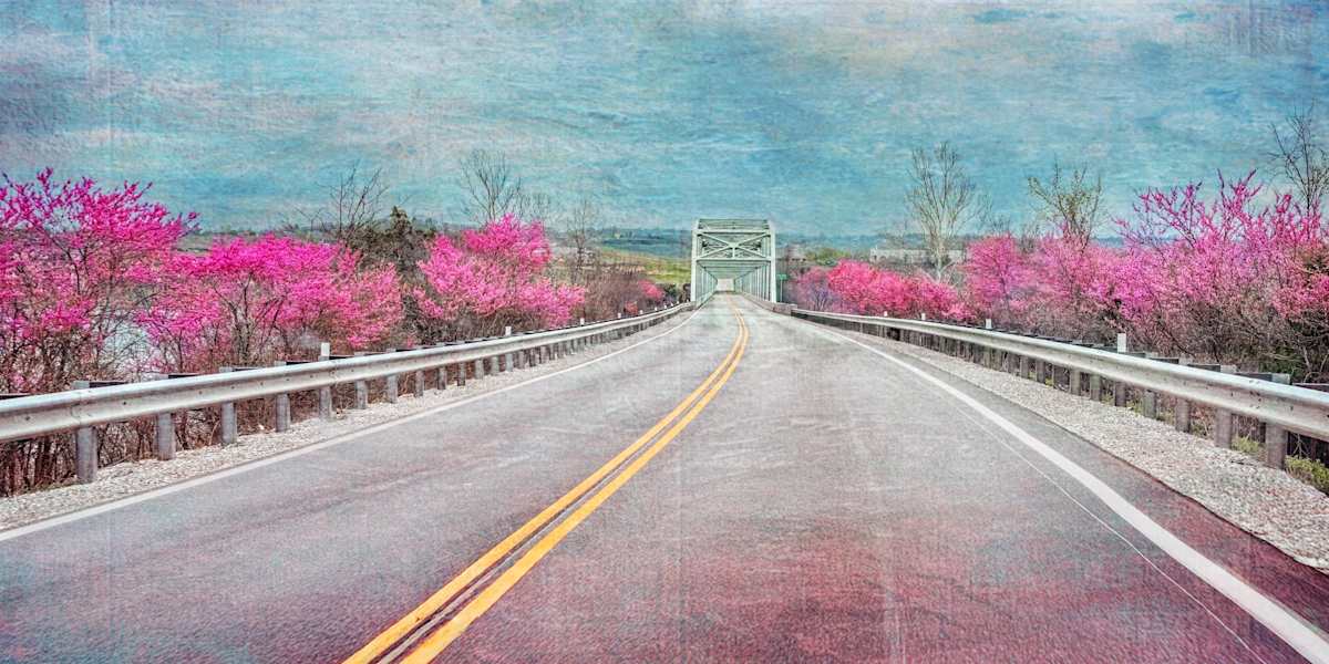 Kimberling City Bridge with Redbuds by Jane Ballard, Image 1.