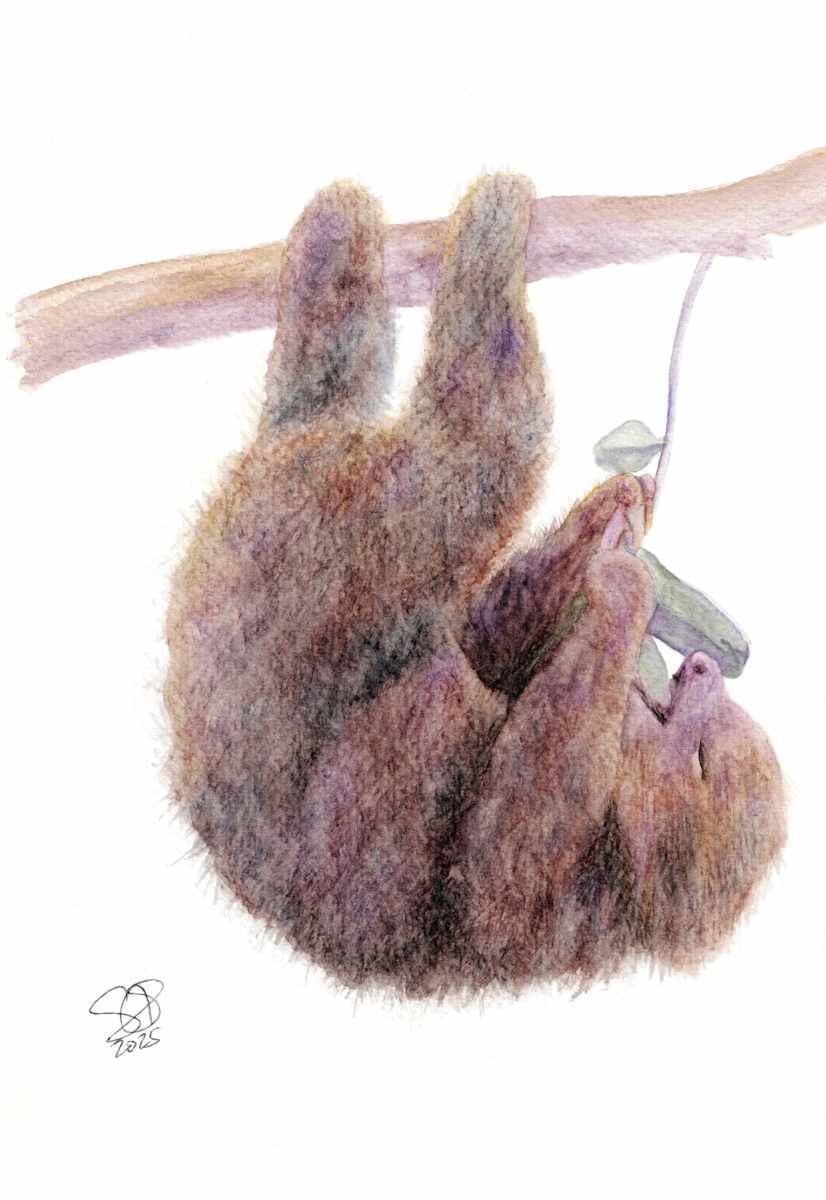 Pretzel by Samantha Simmons, Image 1.
