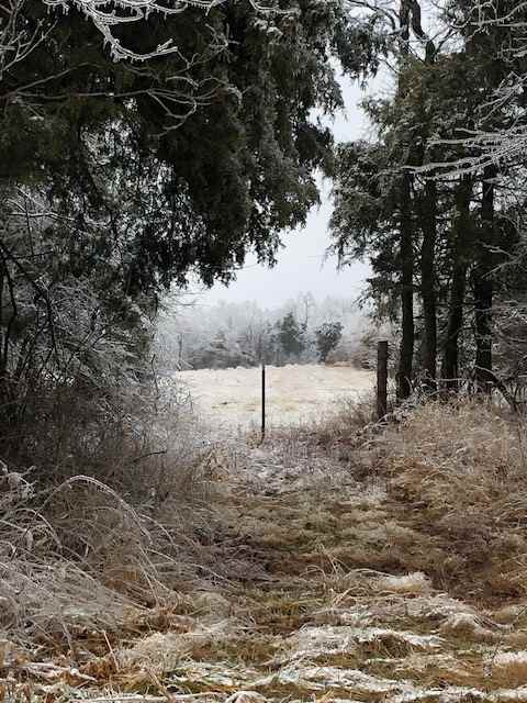 Winter on the Farm by Beth Boehm 
