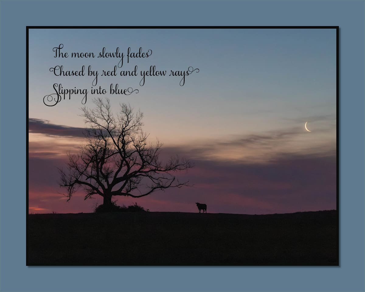 Slipping into Blue by Tina Williams, Image 1.