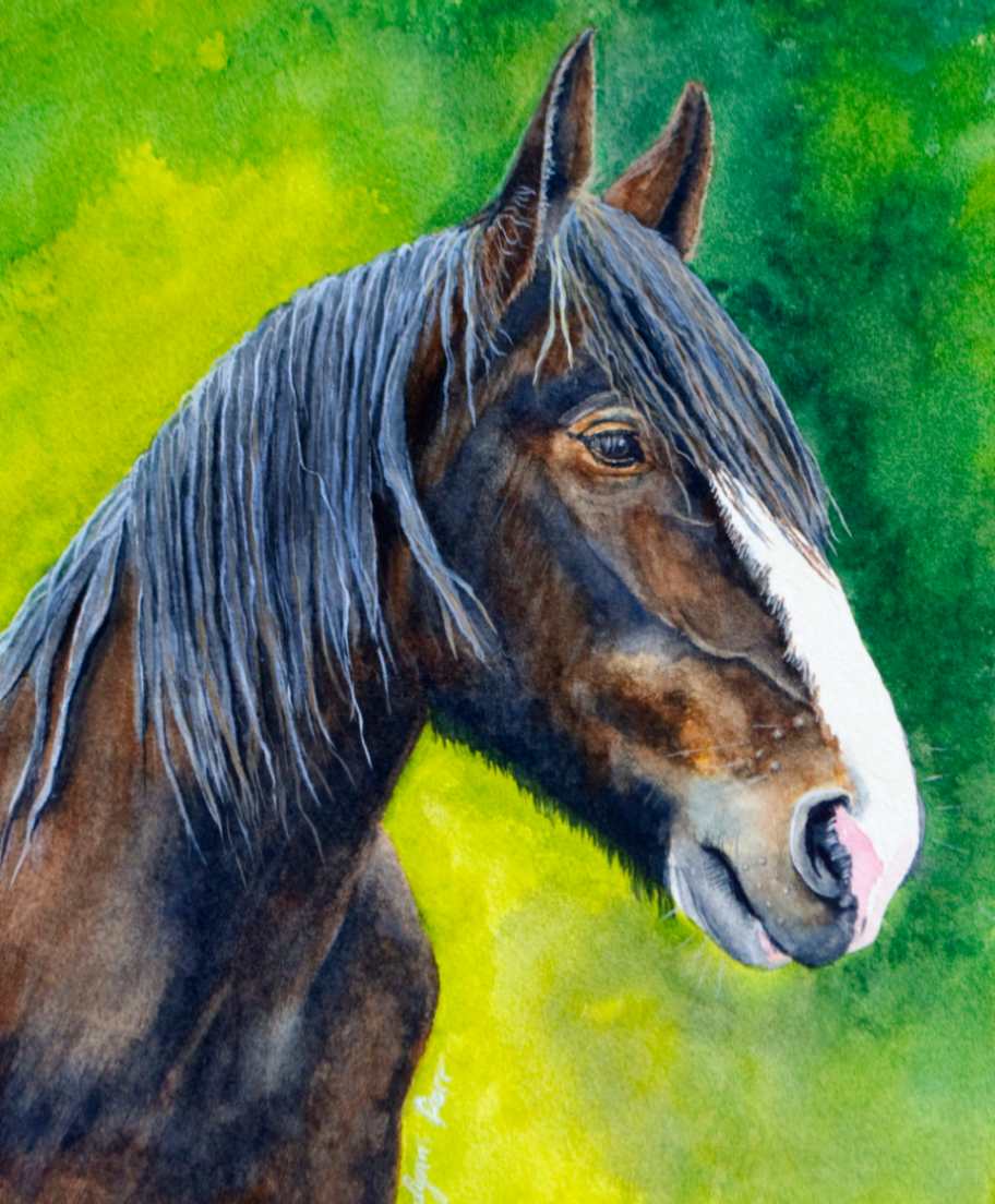 Old Man Shire by Lynn Parr 