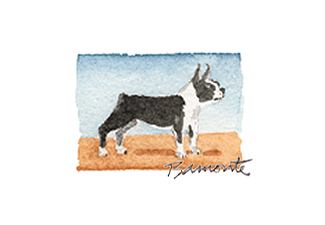 Boston Bull by The Red Sable Studio 