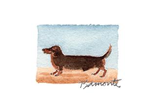 Dachshund by The Red Sable Studio 