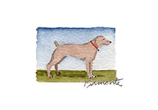 Pointer by The Red Sable Studio 