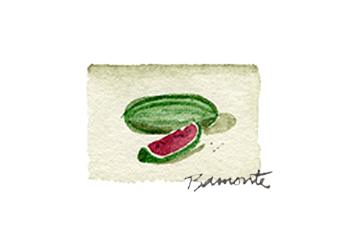 Watermelon by The Red Sable Studio 