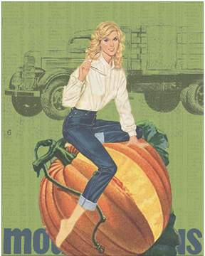 Wrangler Jeans I by The Red Sable Studio 