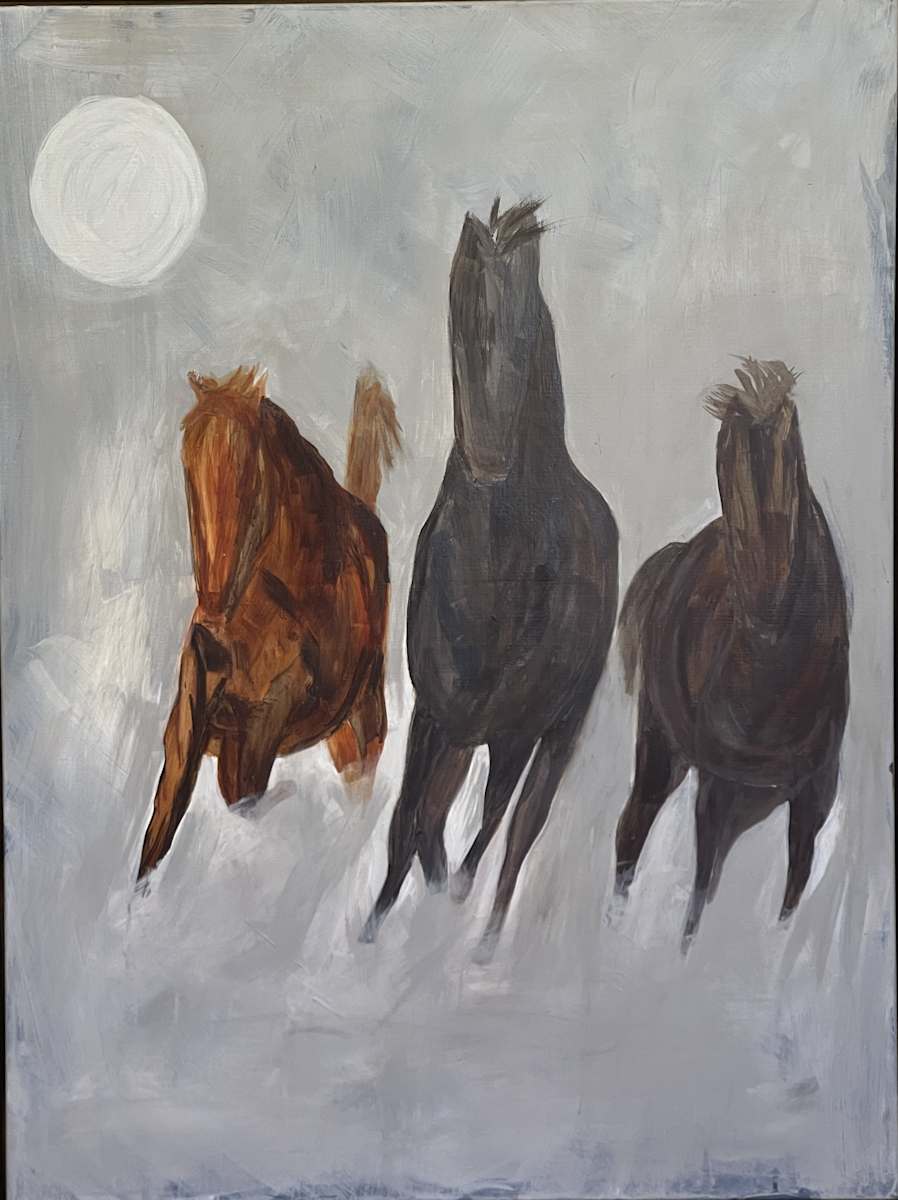 Rhythm of Hooves by robyn parker feehan 