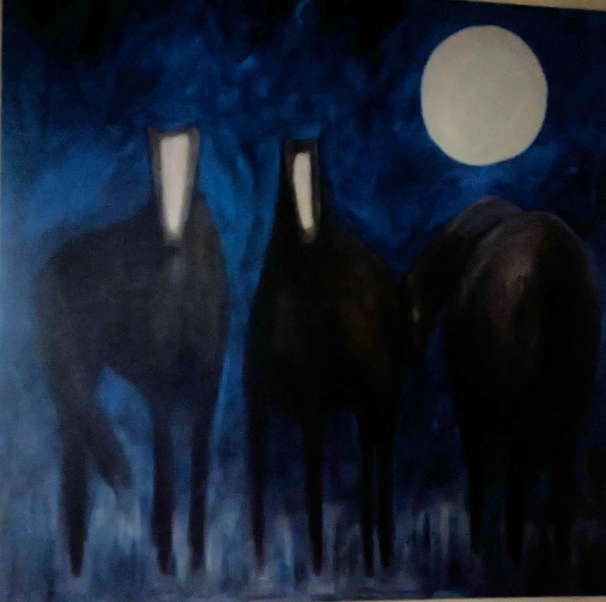 Silent Allies in Deep Blue by robyn parker feehan 
