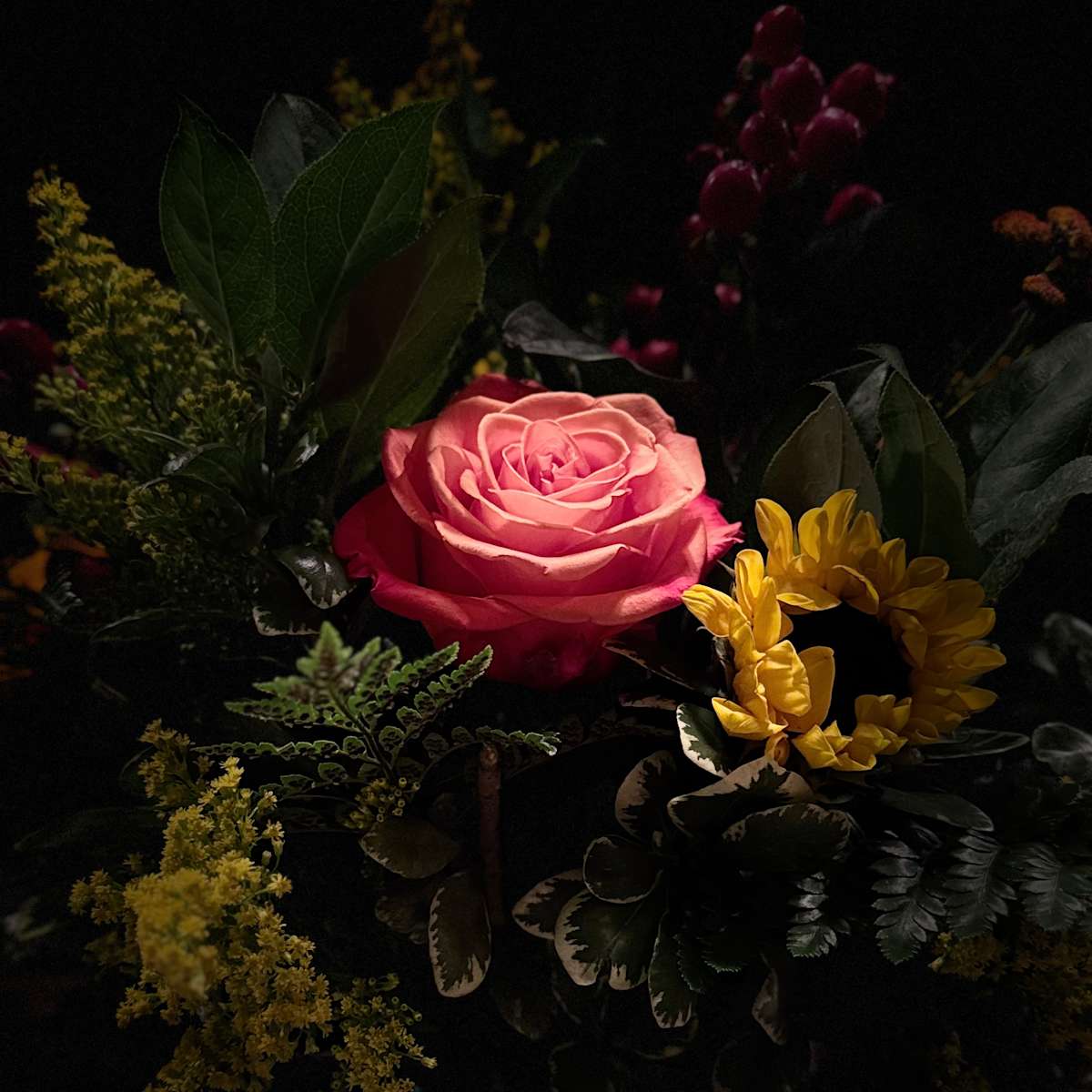 Out from the Shadows (Rose) by Christine Blankenship 