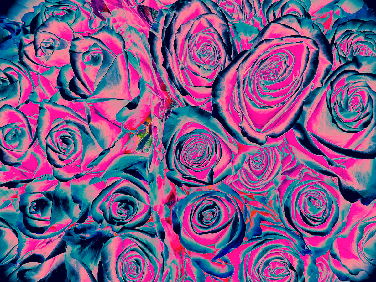 Neon Dreams (Roses) by Christine Blankenship 