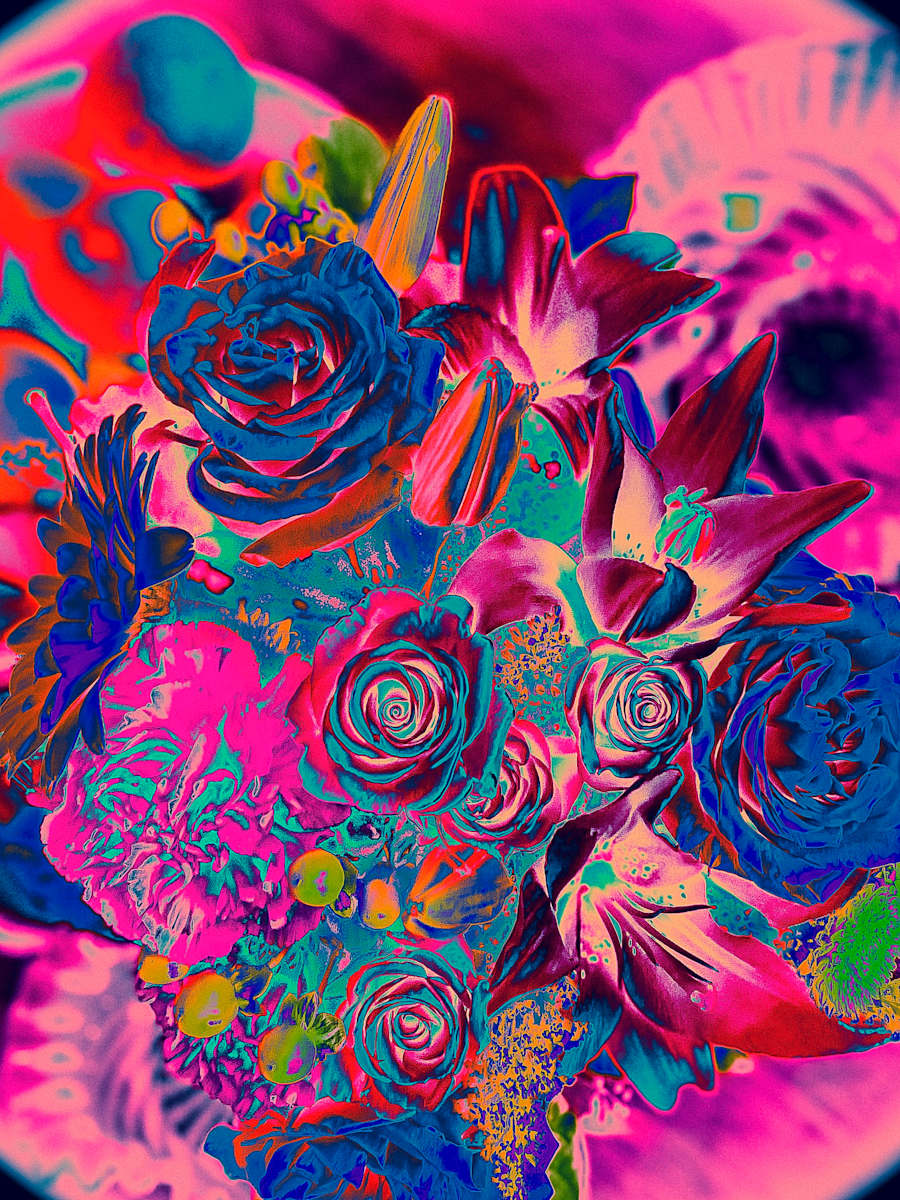 IMG_1644_ayzkfl_6 by Christine Blankenship, Image 2.