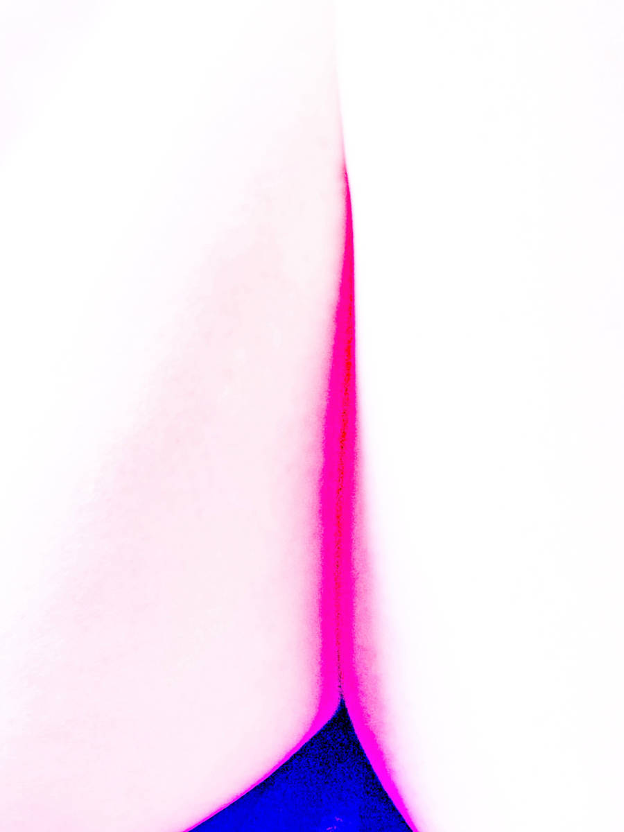 Ladies Always Cross Their Legs (Landscape of a Body) 6 by Christine Blankenship 