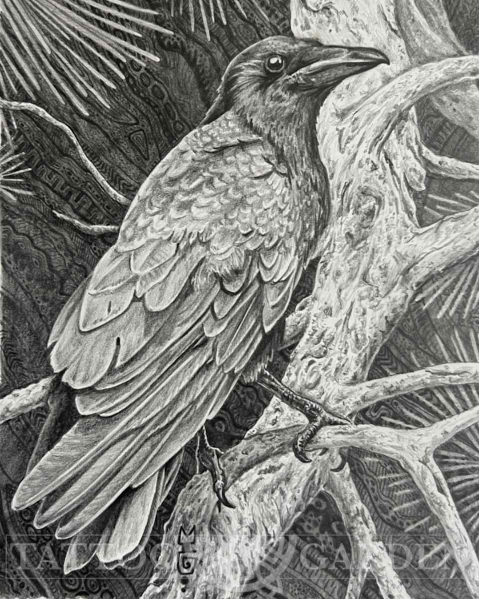 Barbara's Crow by Michael T. Gardner, Image 3.