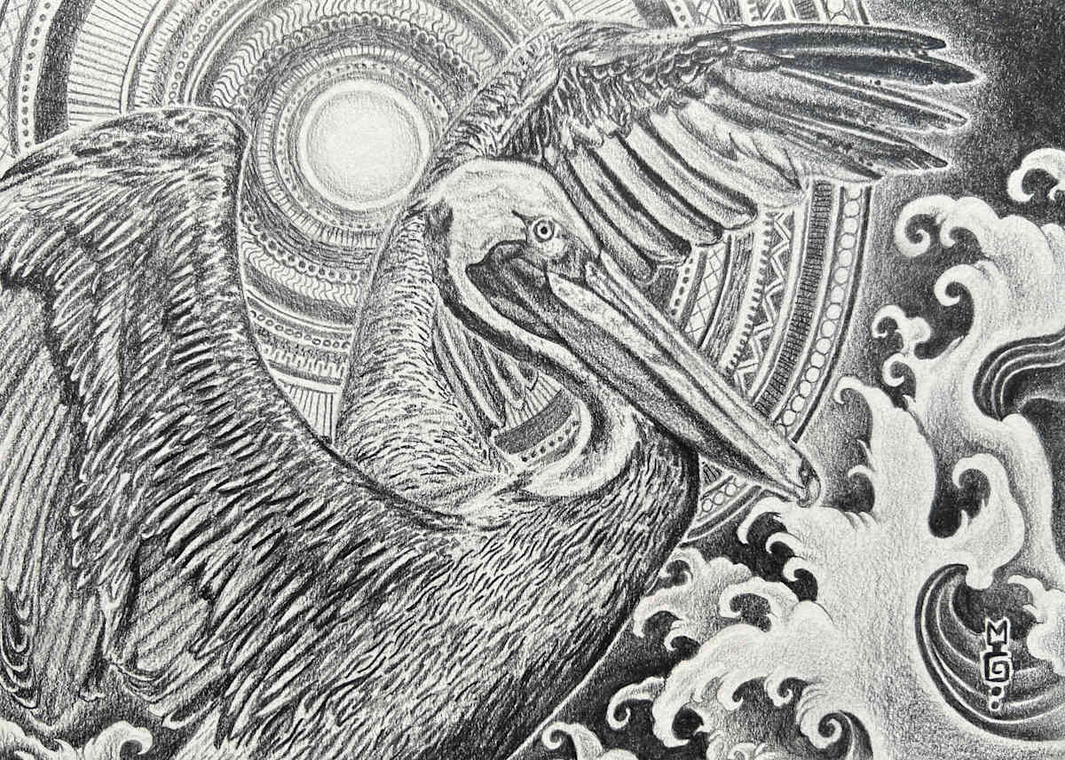 Pelican Sun by Michael T. Gardner, Image 1.