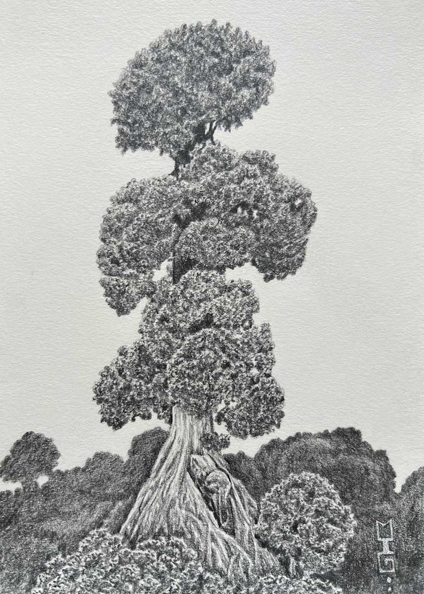 Emperor's Tree by Michael T. Gardner, Image 1.