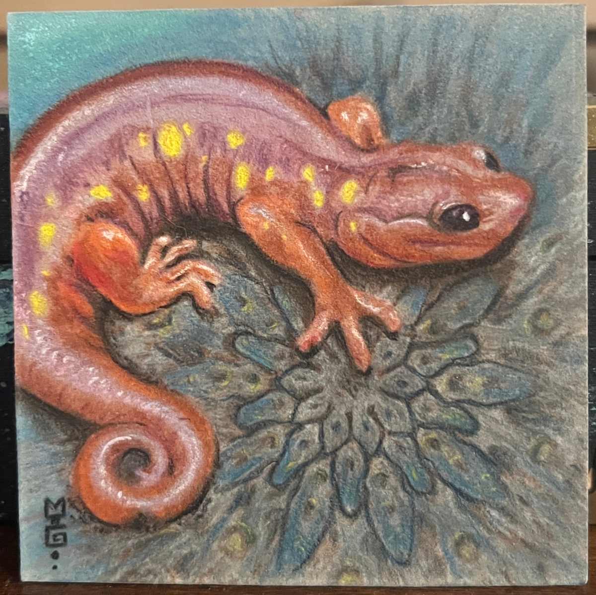 Cute little salamander by Michael T. Gardner 