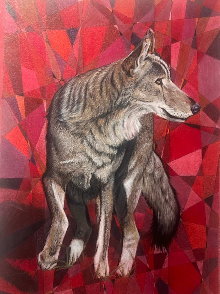 Red Wolf by Michael T. Gardner  Image: iPhone photo of Red Wolf, slightly cropped