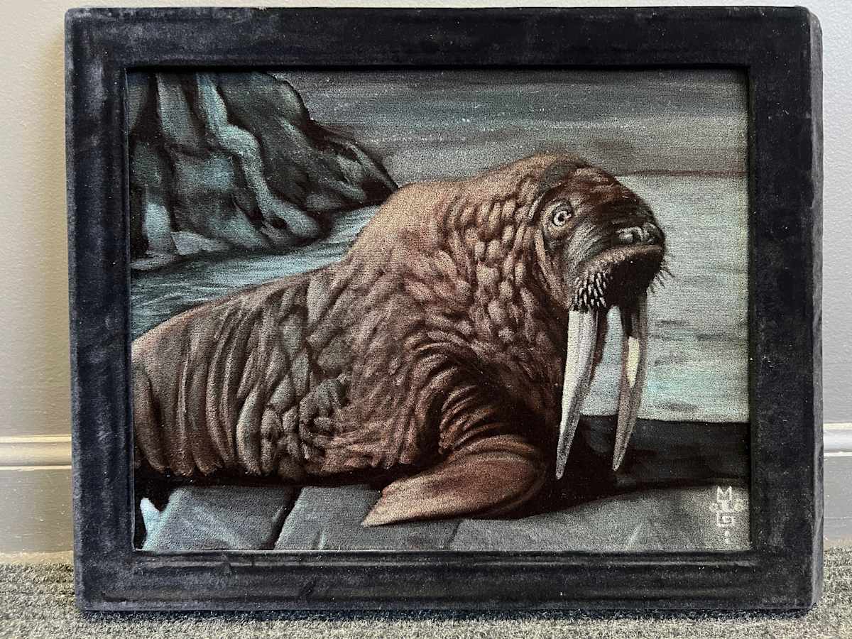 Walrus by Michael T. Gardner, Image 1.