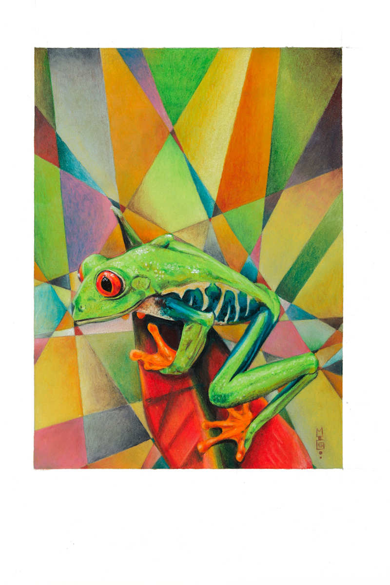 Universal Self Expression (Frog) by Michael T. Gardner, Image 8.