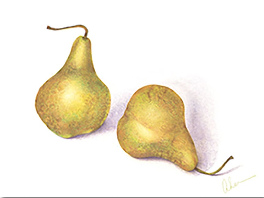 Green Pears #2 by Mary Ahern 