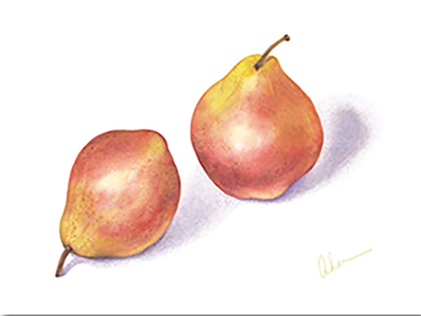Red Pears #2 by Mary Ahern 