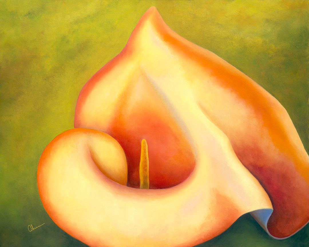 Mapplethorpe's Peace Lily by Mary Ahern 