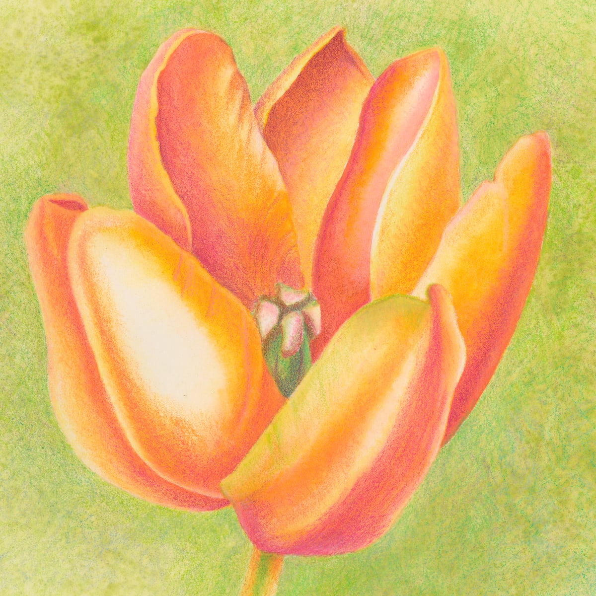 Small Wonders - Orange Tulip Series #3 by Mary Ahern 