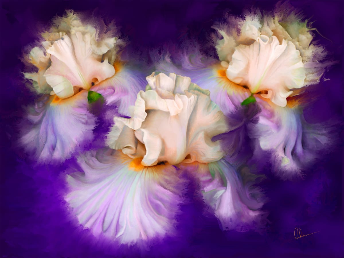 Dancing Iris Trio 
