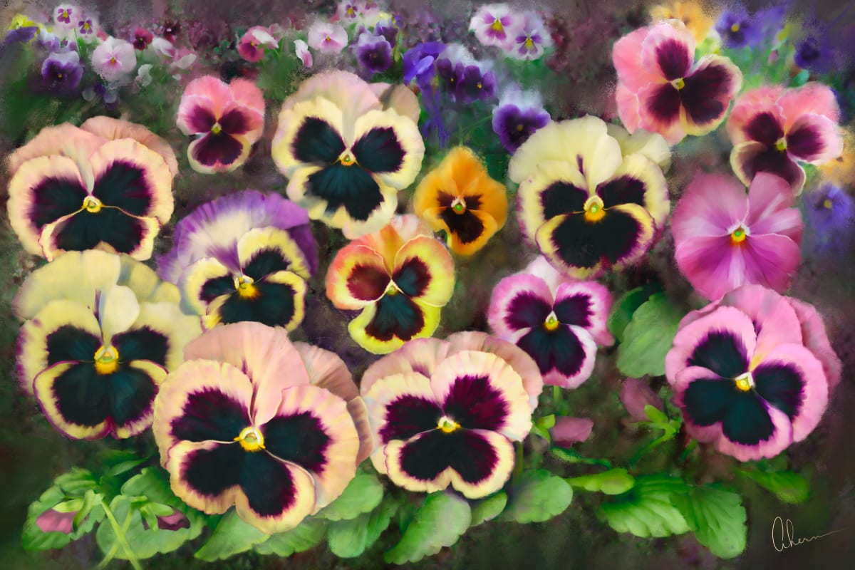 Pansy Field 