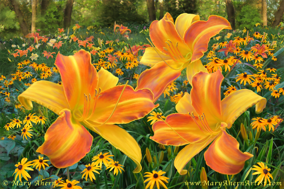 Frans Hals Daylilies with Rudbeckia by Mary Ahern 