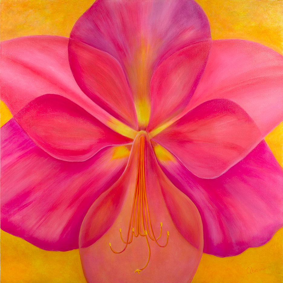 I'm Not Hiding - Pink Amaryllis by Mary Ahern 